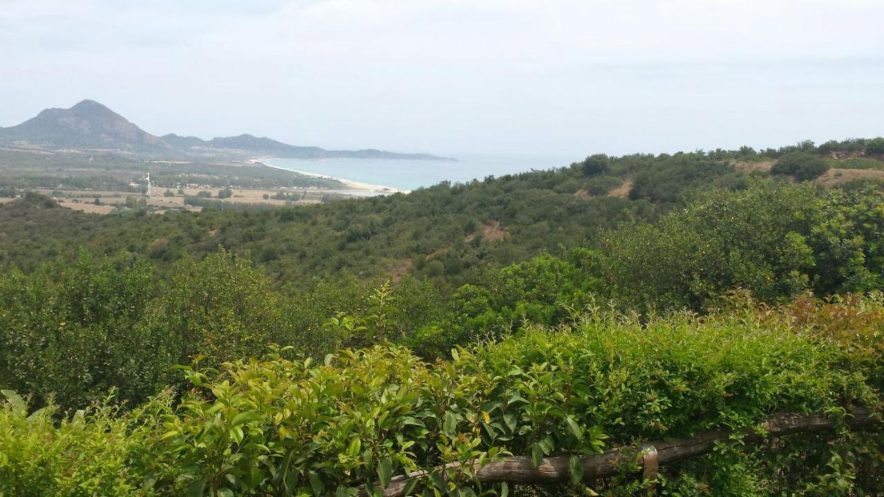 Casa Nanny Villetta Panoramica コスタ・レイ エクステリア 写真